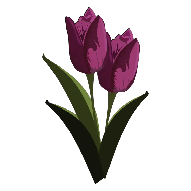 Tulip Download Mosseruds Gf Pixel Art Tulipane Tegning Png Pixel Flower Png