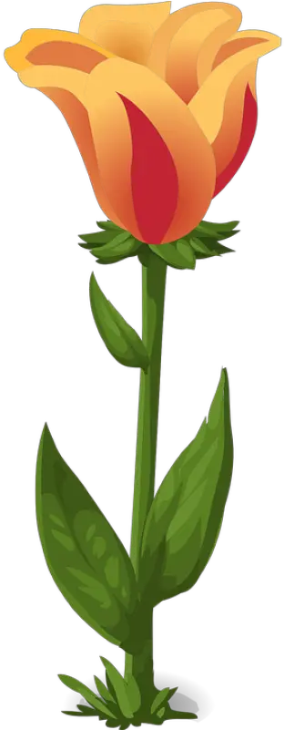 Png Bunga Tulip Plantas Con Flores Y Hojas Bunga Png