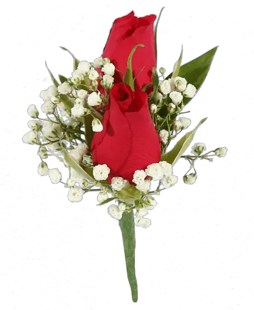 Double Red Rose Red Sweetheart Rose Boutonniere Png Red Rose Png