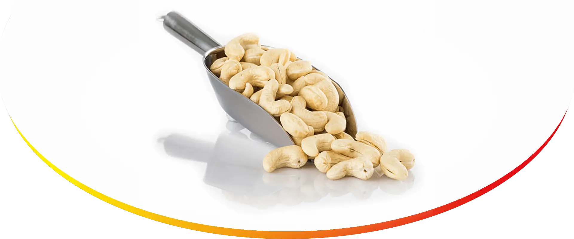 Rancrisp Cashew In Spoon Png Cashew Png