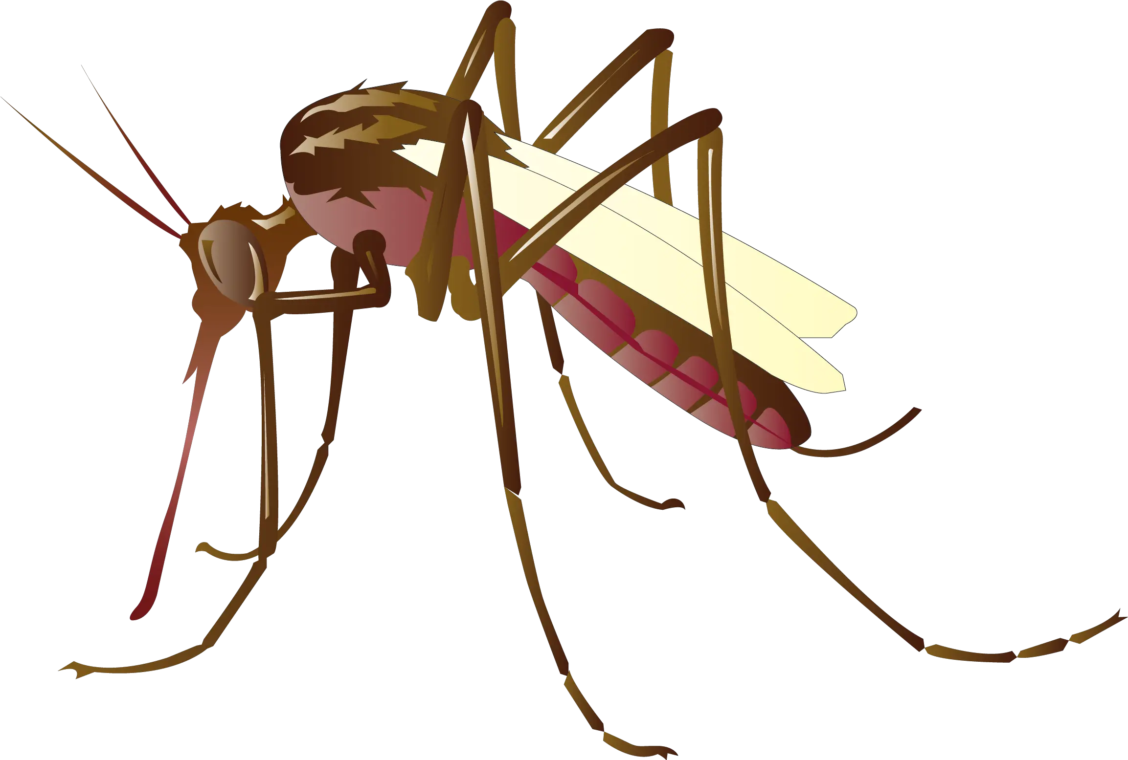 Mosquito Clip Art Png Transparent Mosquito Clipart Png Mosquito Transparent