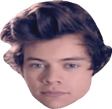 One Direction Sticker Gif Harry Styles Stickers Gif Png One Direction Transparents
