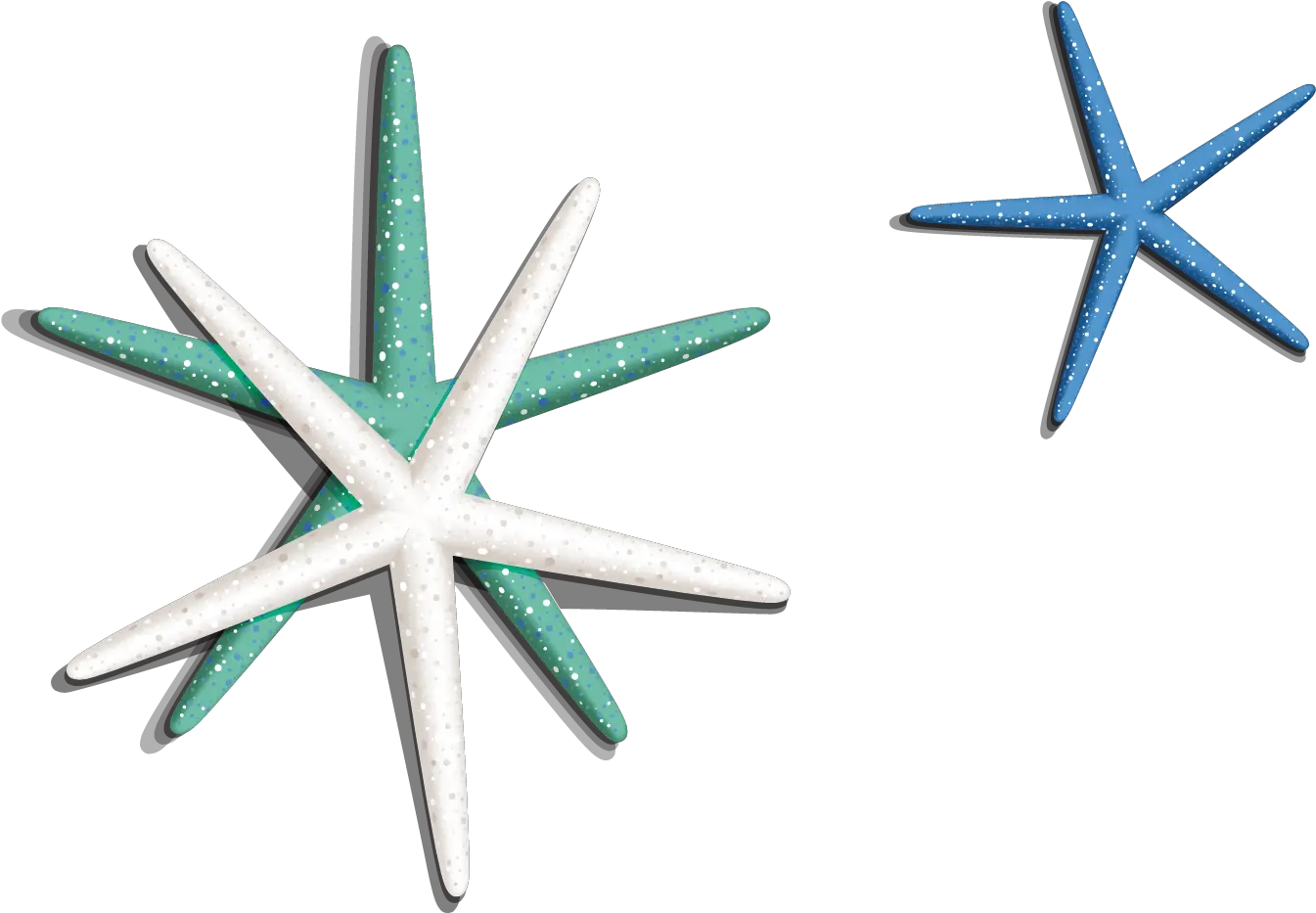 Download Sea Star Png Image Starfish Sea Star Png