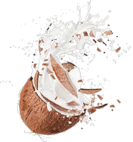 Download Coconut And Chocolate Splash Png Image With No Coconut Splash Png Chocolate Splash Png