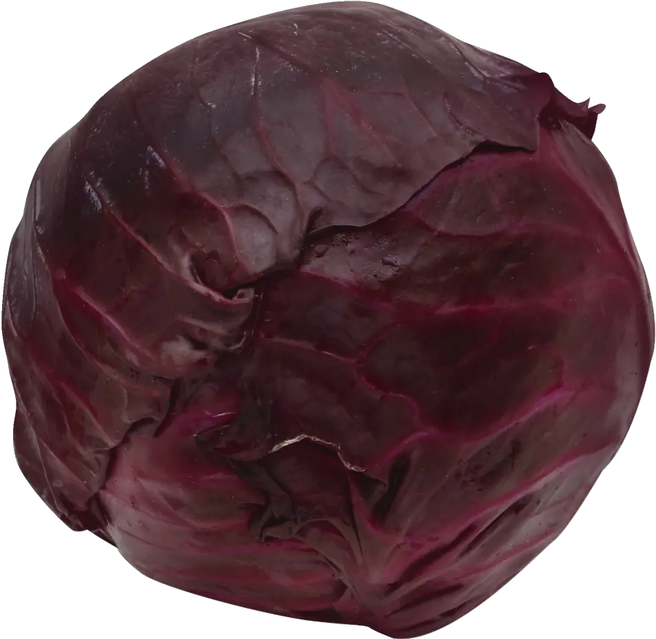 Marianou0027s Cabbage Red 1 Lb Maroon Cabbage Png Cabbage Png