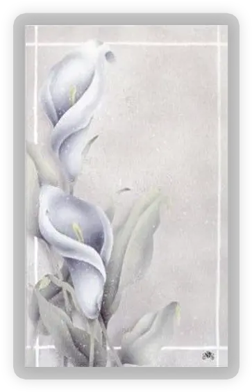 Calla Lilies Series Personalized Prayer Holy Card Png Calla Lily Png