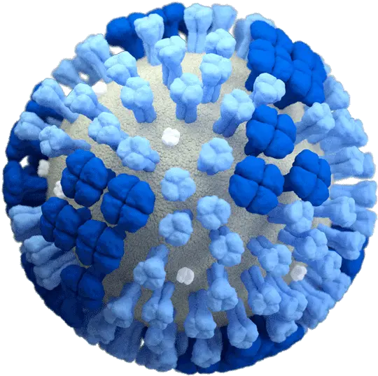 Images Of Influenza Viruses Cdc Influenza Flu Png Next Icon Jpg