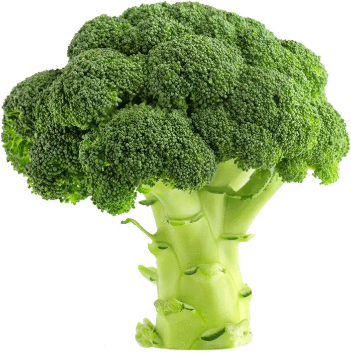 My Experience Of Going Vegetarian For The Last 5 Months Png Brocolli