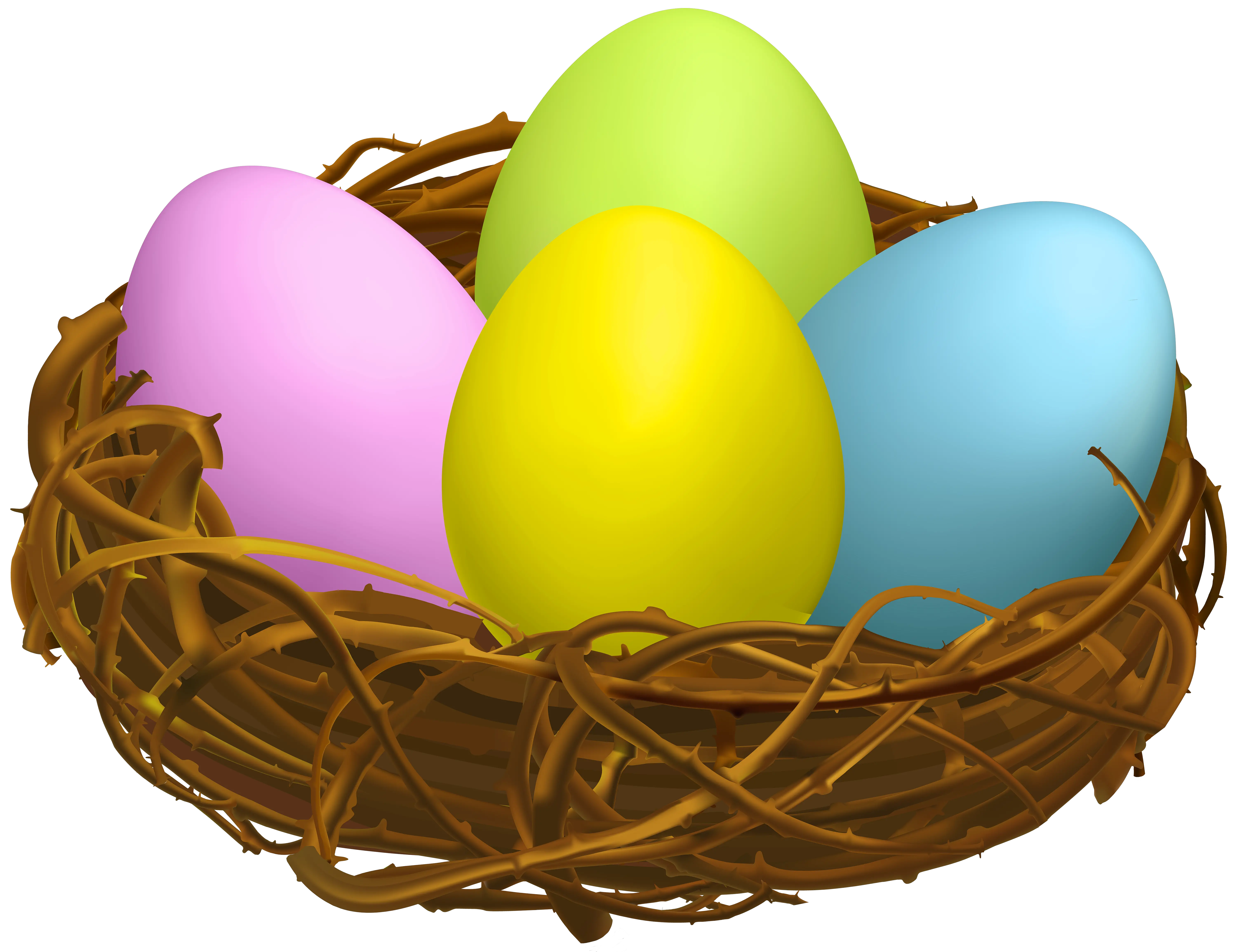 Nest Png Nest With Eggs Clipart Nest Png