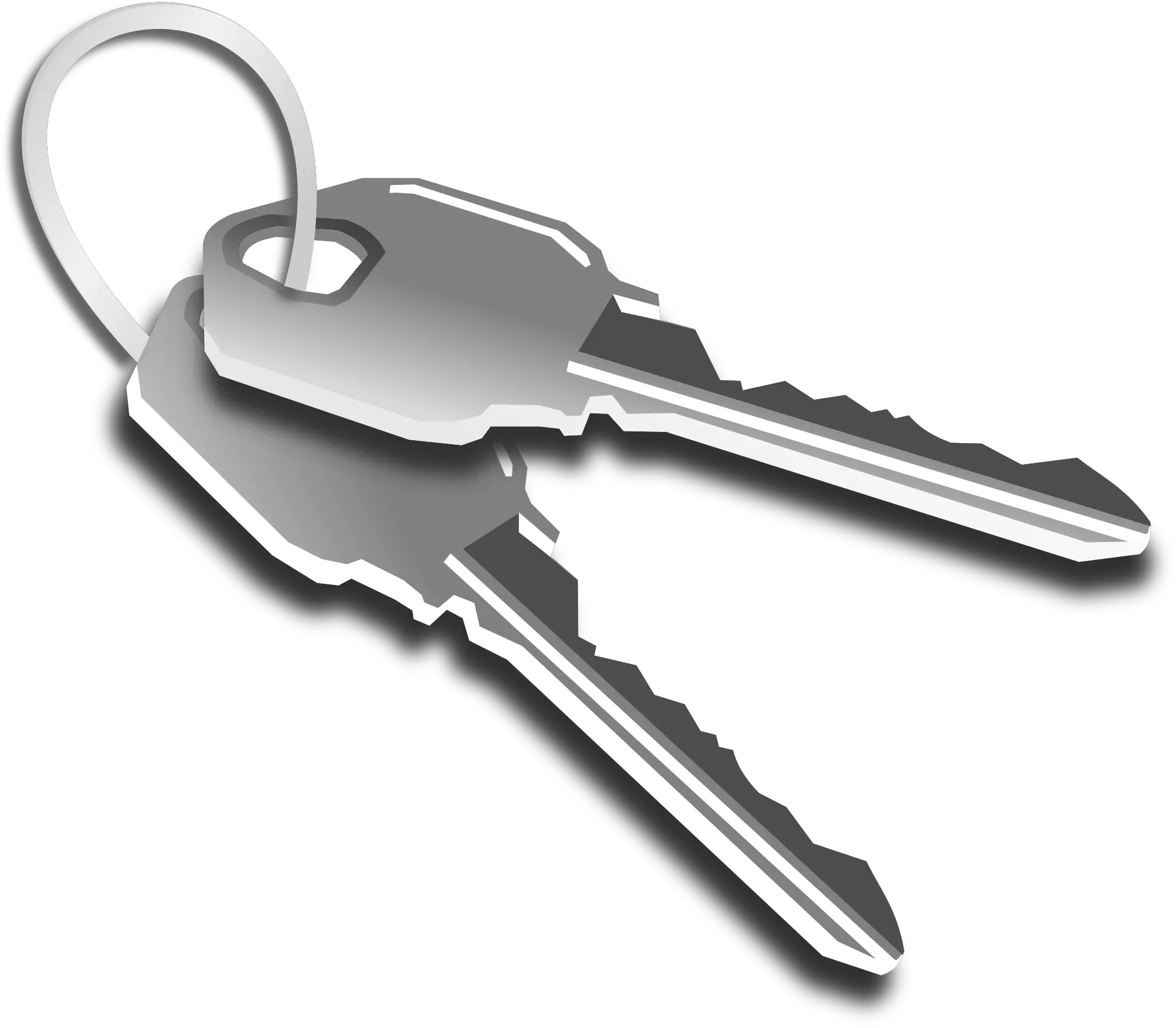 Key Png Transparent 6 Image Have Keys But No Locks And Space An T Go Outside What Am I Key Transparent Background