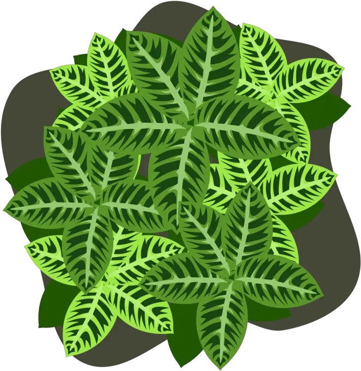 Png Clipart Royalty Free Svg Png Clover Shamrock Clipart Png