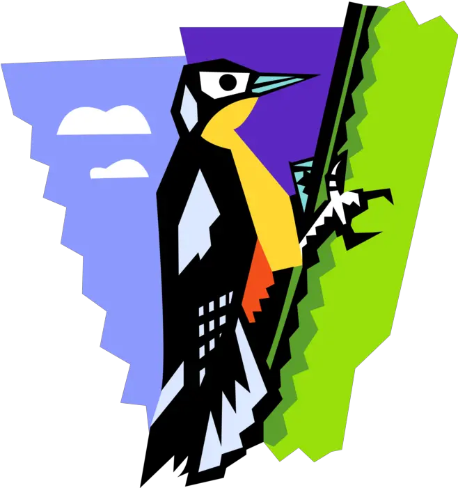 Vector Illustration Of Woodpecker Bird Woodpecker Woodpecker Png Woodpecker Png