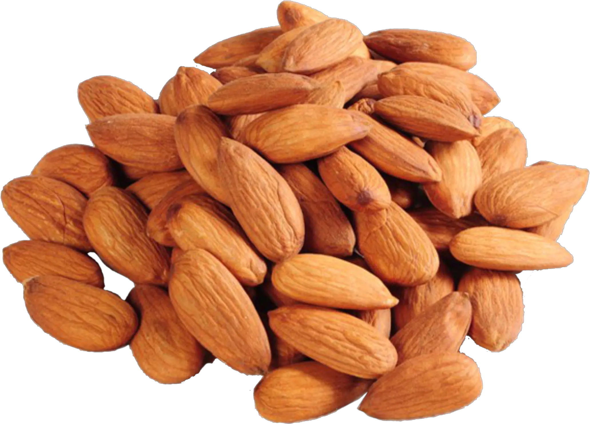 Almond Transparent Free Png Play Gurbandi Almond Walnut Transparent