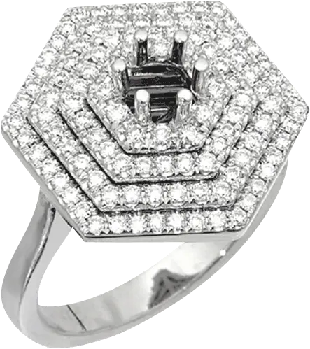 Hexagonpng Ring Hexagon Png