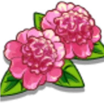 Ballet Queen Flower Farmville Wiki Fandom Artificial Flower Png Flower Icon Png
