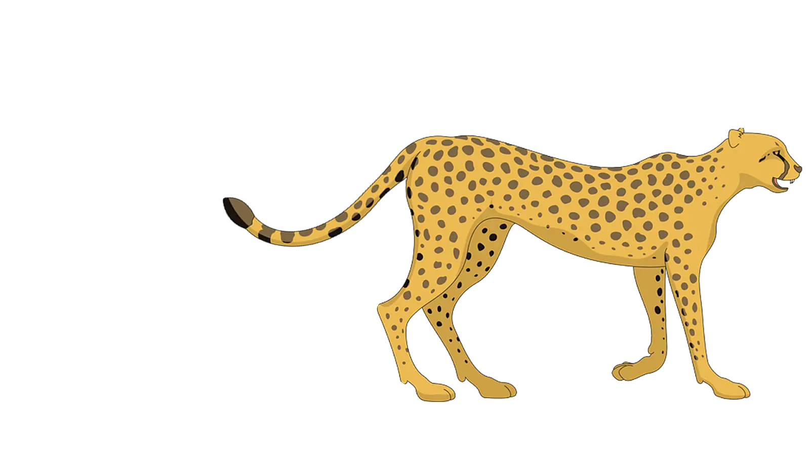Cheetah Png Clipart Free Library Cheetah Clipart Png Cheetah Png