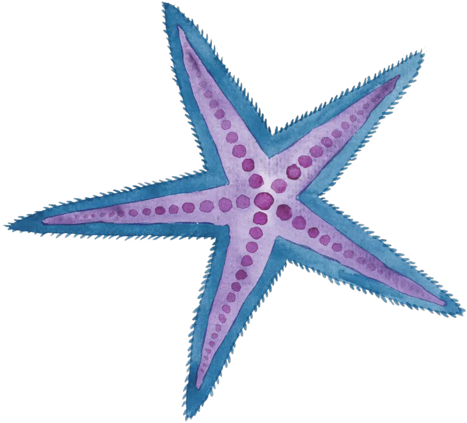 Two Color Hand Painted Starfish Cartoon Watercolor Purple Watercolor Star Fish Png Starfish Transparent Background