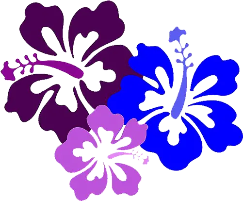 Index Of Wp Contentuploads201912 Hibiscus Clip Art Png Stitch Png