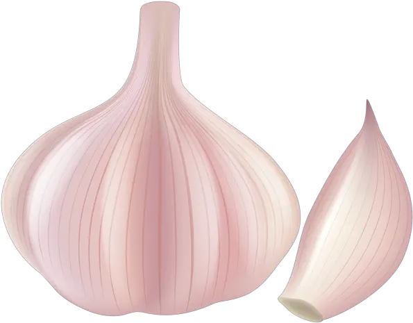Red Onion Clipart Png Image Clip Art Garlic Png Onion Transparent Background