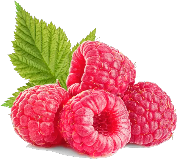 Download Raspberries Raspberry Full Size Png Image Pngkit Raspberry Png Raspberries Png