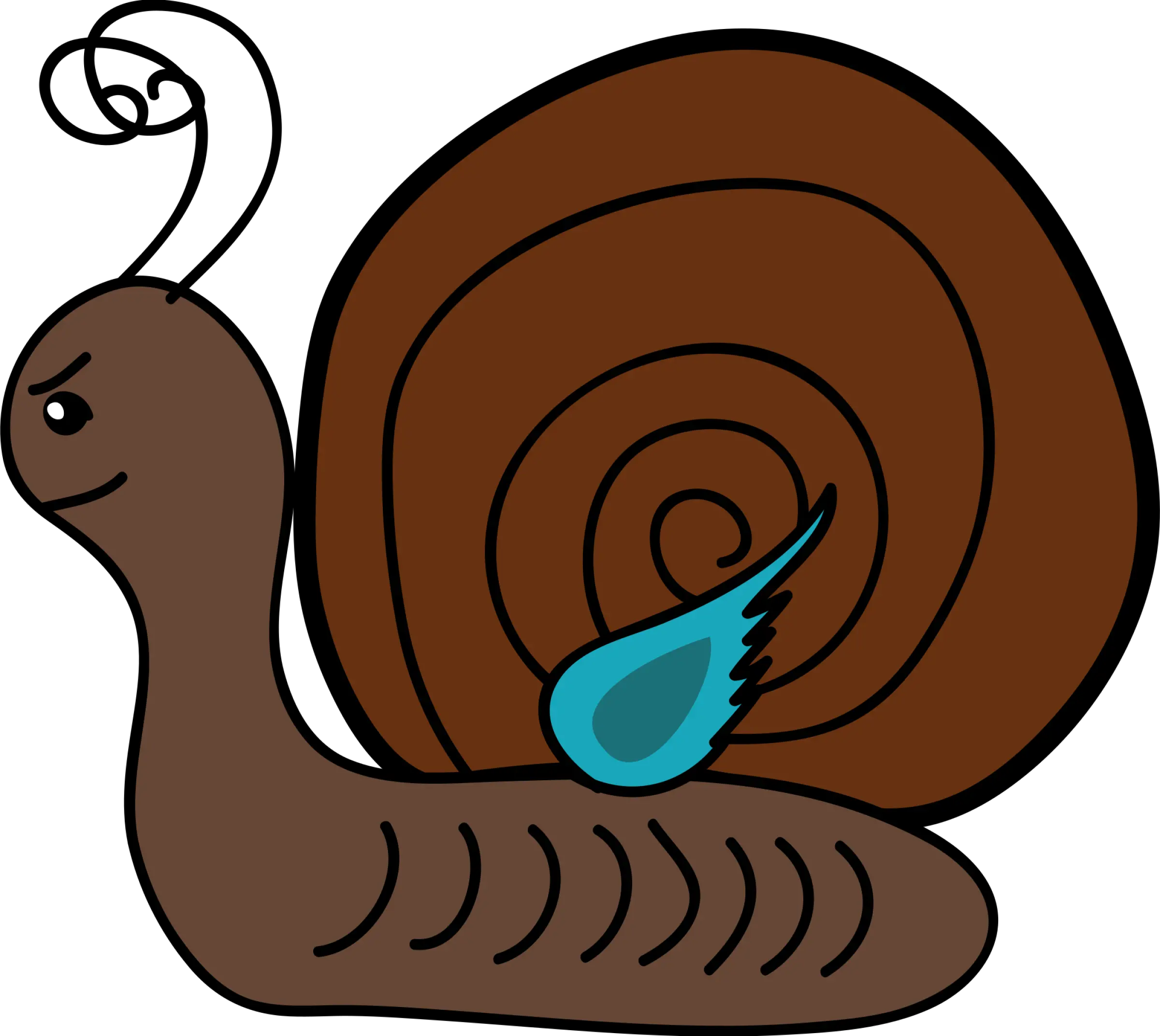 Snail Gastropod Univalve Clip Art Png Slug Png