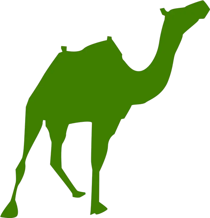 Camel Silhouette Arabia Pyramids Clipart Silhouette Png Camel Logo