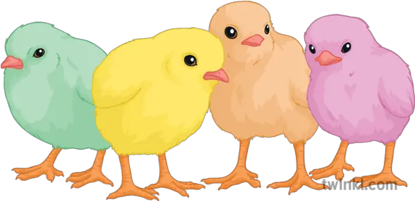 Easter Chicks Baby Animal Birds Cute Animal Figure Png Baby Chick Png