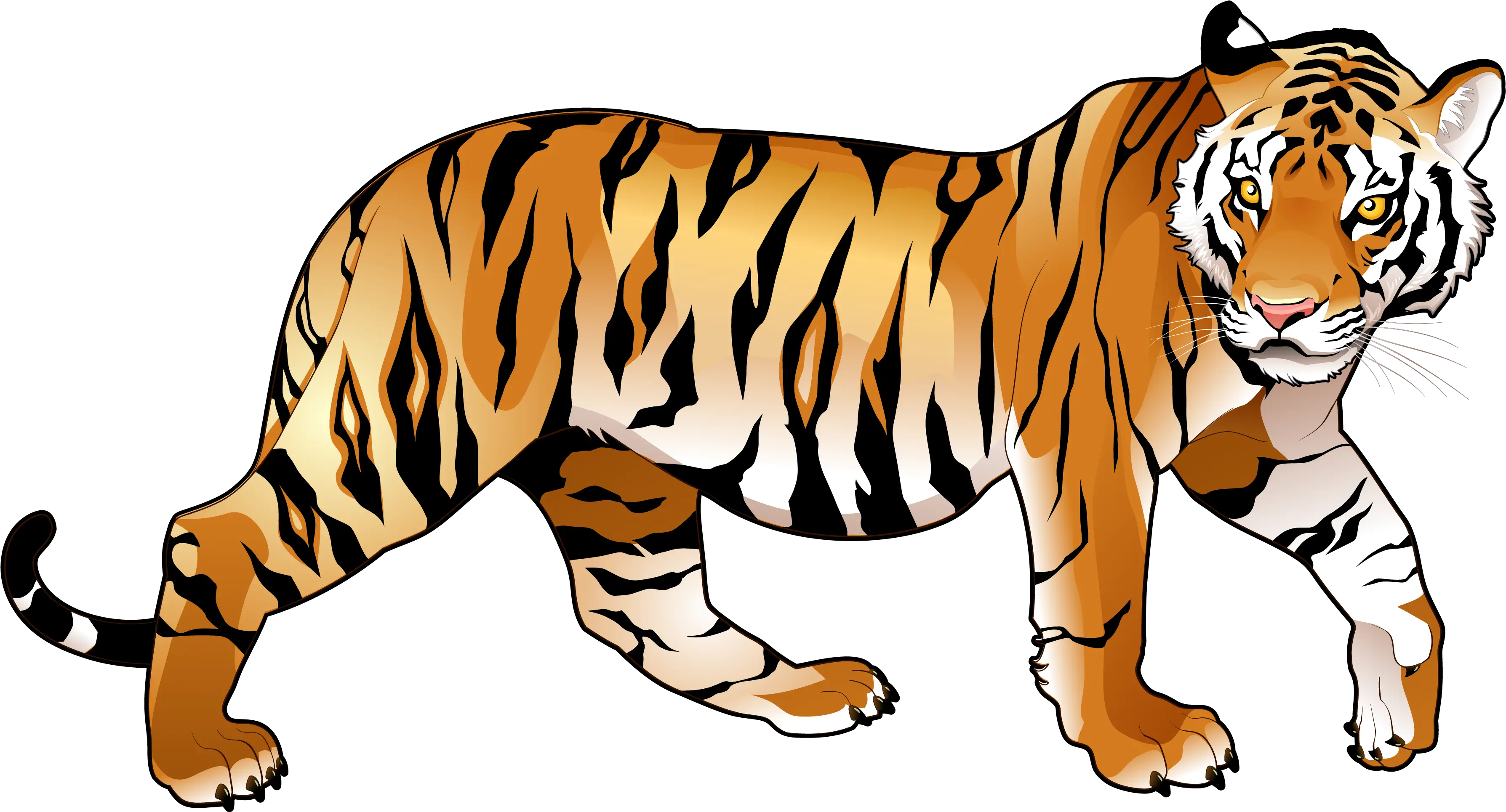 Jaguar Clipart Tiger Tiger Clipart Png Tiger Transparent