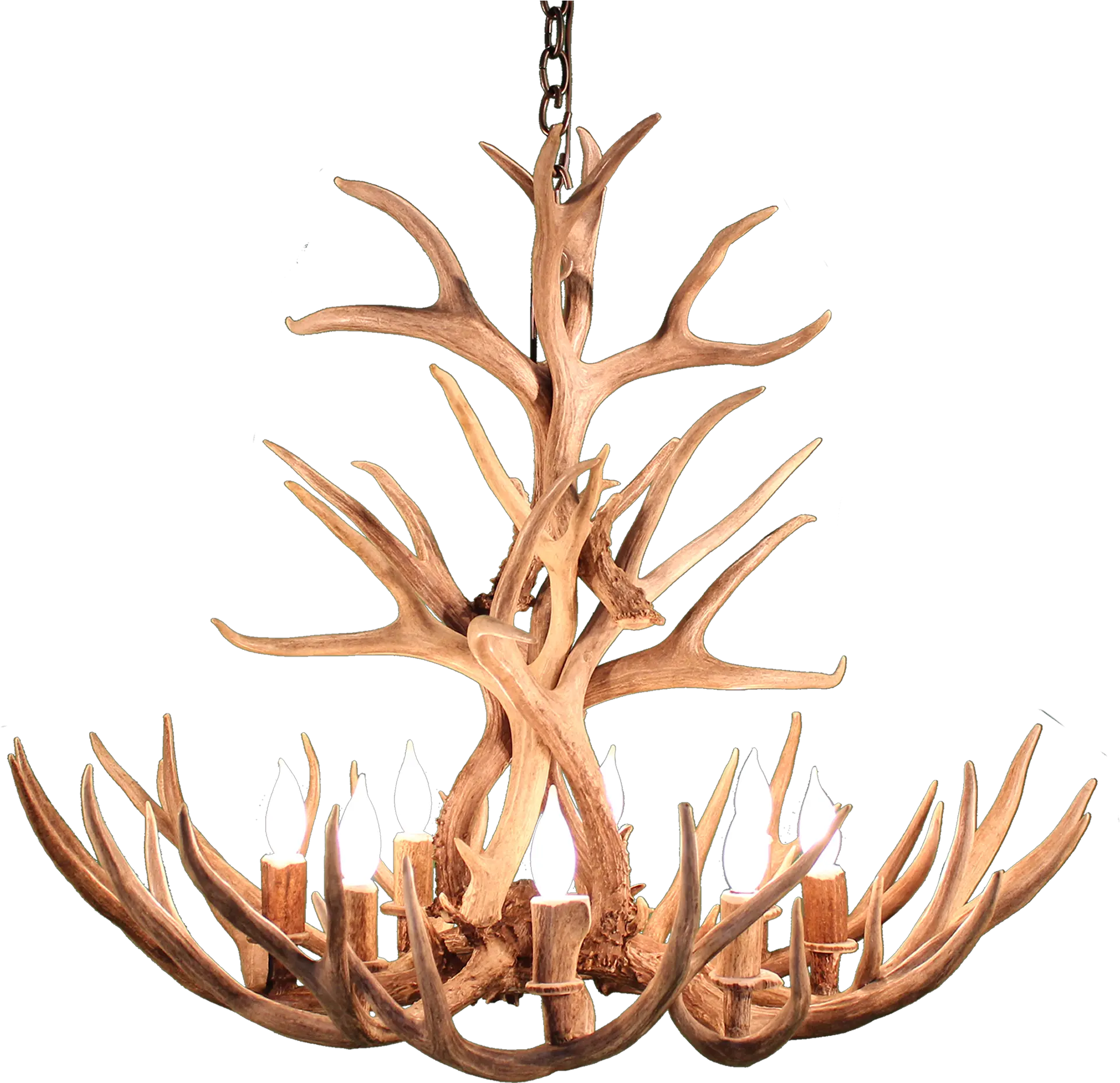Deer Antlers Png Wood 912780 Vippng Tree Antlers Png