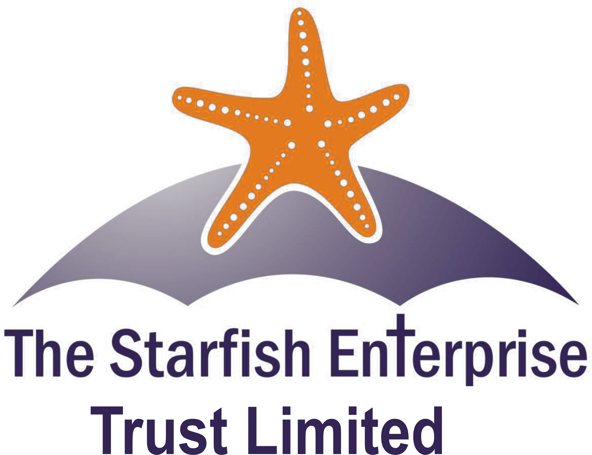 Starfish Basingstoke U2013 Linking Projects Of The Church In Language Png Starfish Png