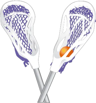 Stonehill College Womens Lacrosse Lacrosse Stick And Ball Png Lacrosse Png