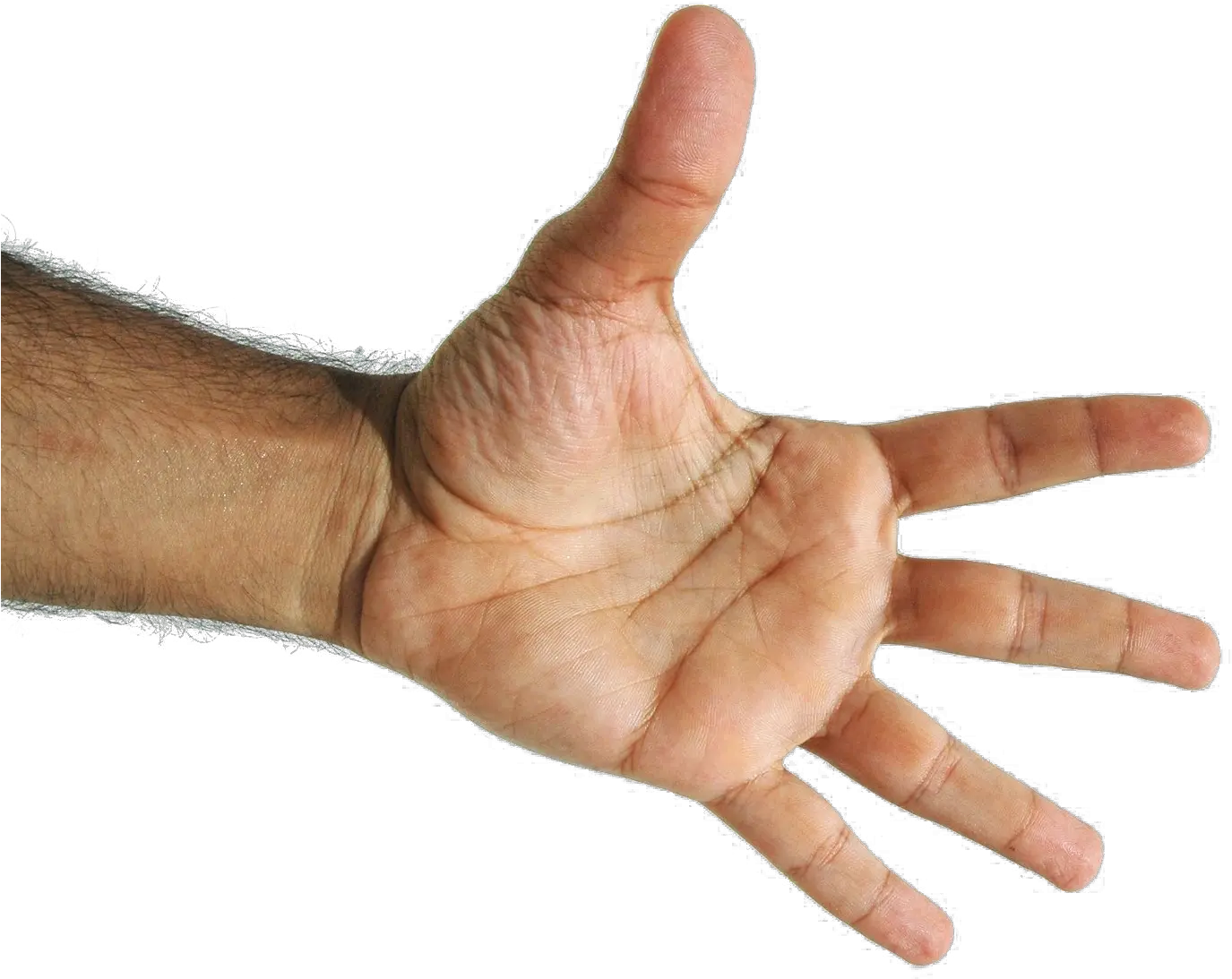 Download Fingers Png Free Background 5 Fingers No Background Fingers Png