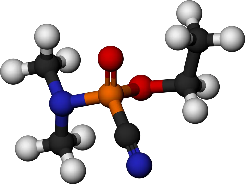 Human Behaviorcommunicationchemistry Png Clipart Royalty Molecules Png