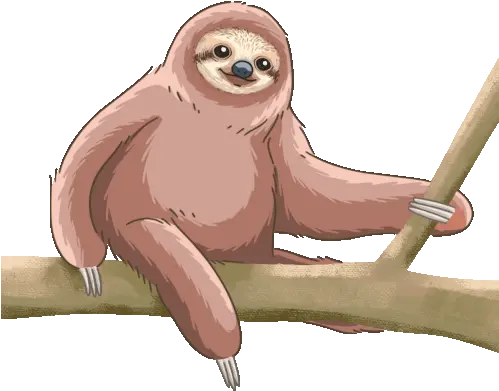 Sloth Pygmy Three Toed Gif Sloth Pygmythreetoedsloth Discover U0026 Share Gifs Pygmy Sloth Png Sloth Icon