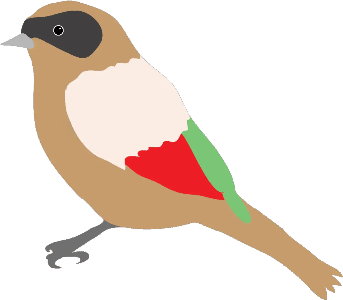 Colorful Drawings Of Birds Bird Drawing Png Birds Png png