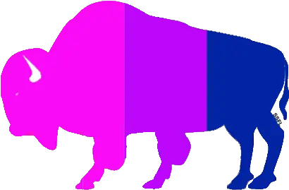 Gay Vincian Buffalo Sticker U2013 Sioux Falls Pride Rainbow Bison Png Demisexual Icon