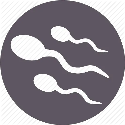 Human Part Sperm Spermatozoon Icon Circle Png Sperm Png