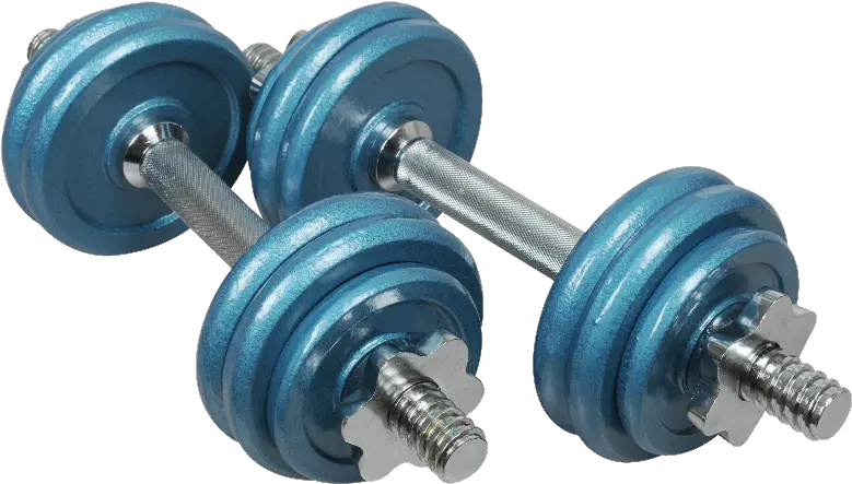 Dumbbell Clipart Blue Transparent Free For Dumbbell Weights Blue Png Dumbbells Png