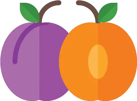 Food Fruit Vegetable Vegetarian Organic Plum Free Icon Fresh Png Fruit And Vegetable Icon