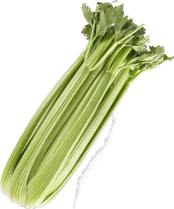 Download Celery Png Transparent Picture Transparent Background Celery Transparent Celery Png
