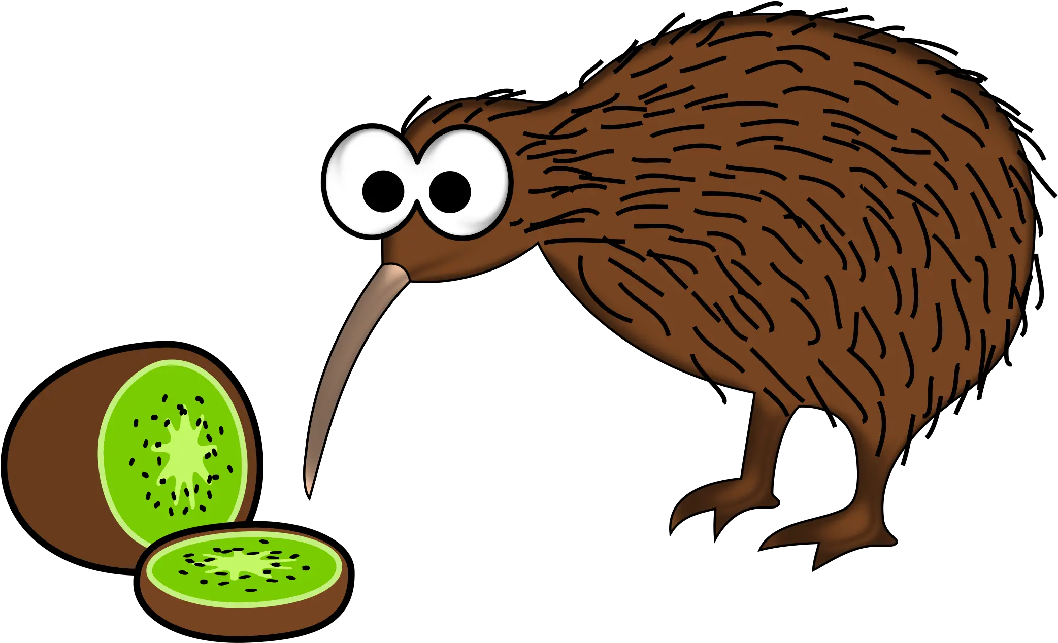 Cartoon Kiwi Bird Png Transparent Kiwi Bird Clipart Bird Png Transparent