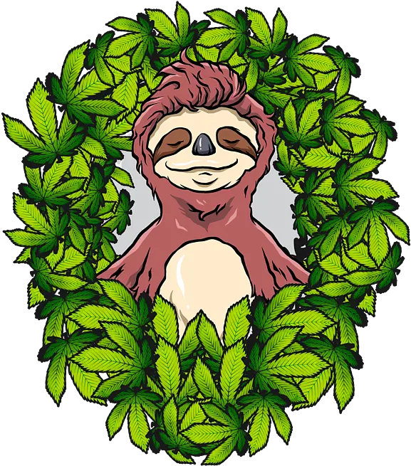 Stoned Sloth Weed Cannabis Thc Cbd Stoned Sloth Cartoon Png Stoned Icon