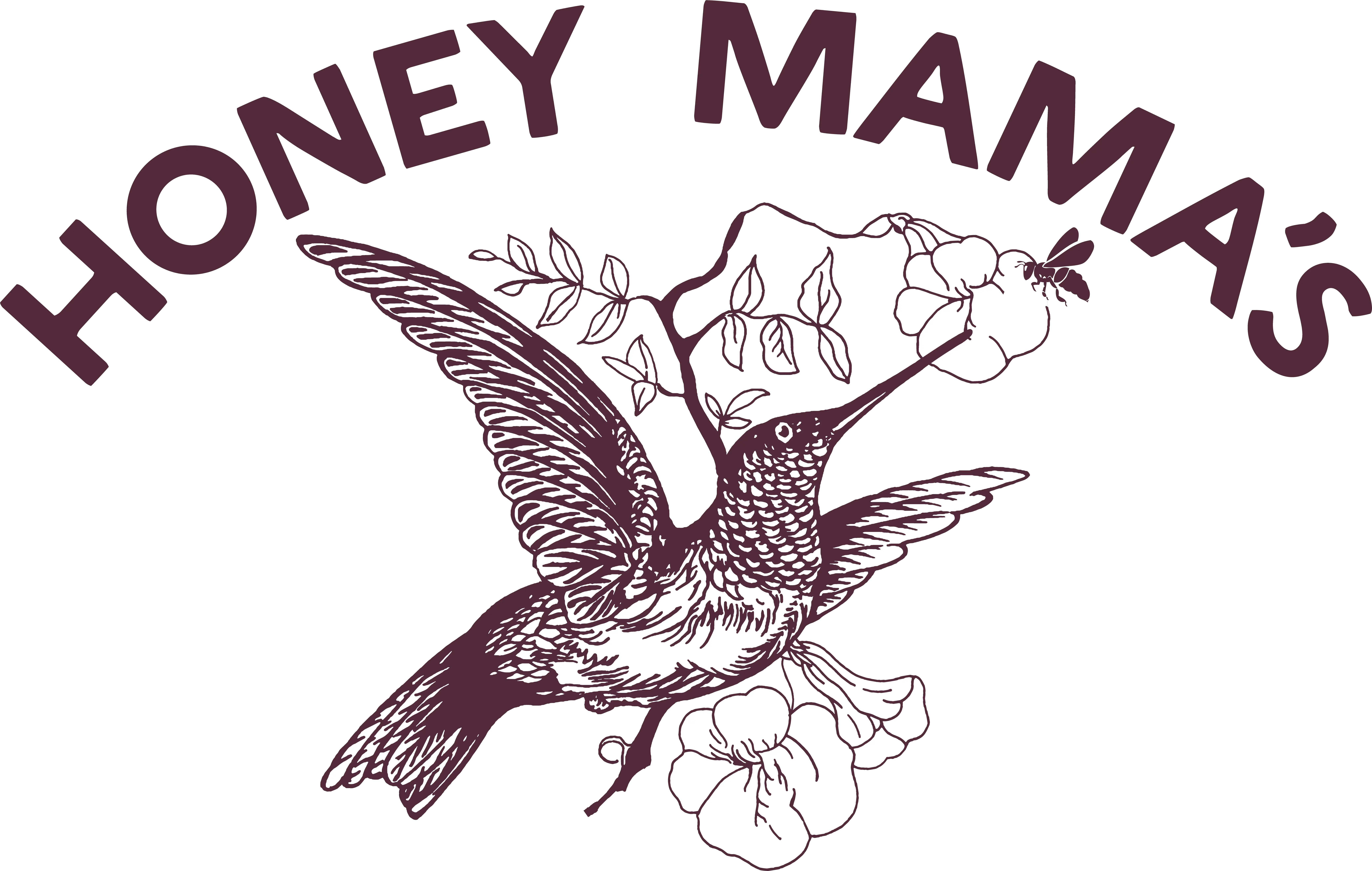 Press Materials Png Hummingbird Transparent Background