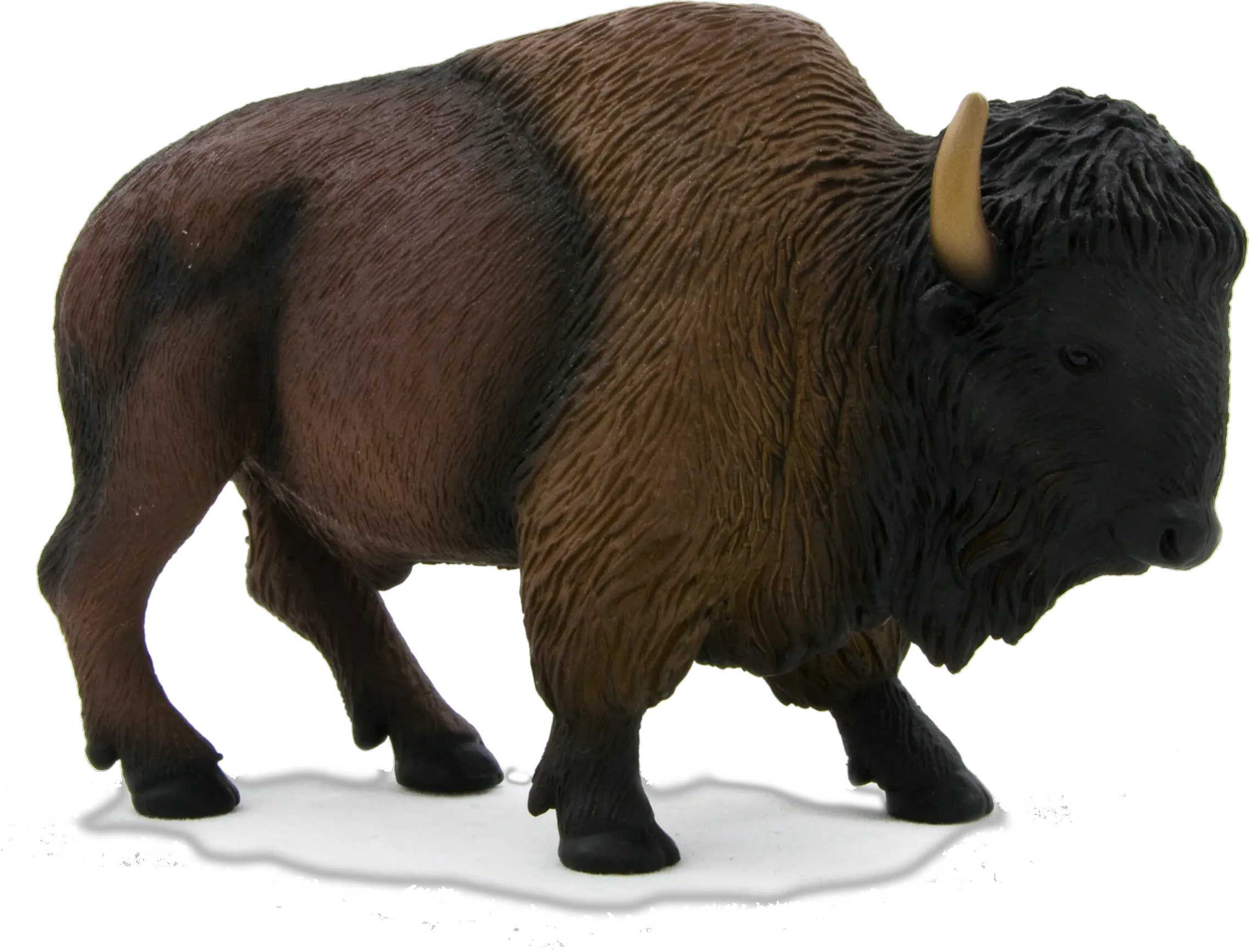 Bison Png American Buffalo Png Bull Transparent Background