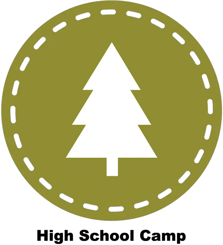 Camp Icons U2014 Leo For Children With Diabetes Png Icon