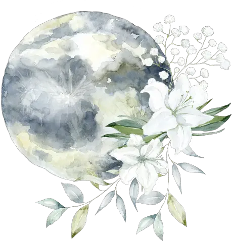 Contact U2014 Rebecca Lucy Full Moon Png Lucy Icon