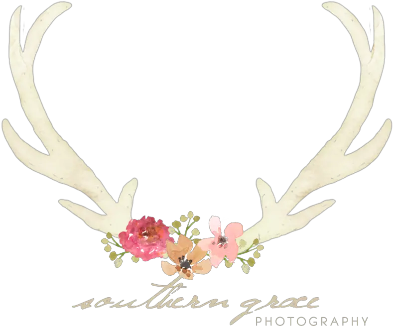 Reindeer Antlers Headband Png Flower Headband Png