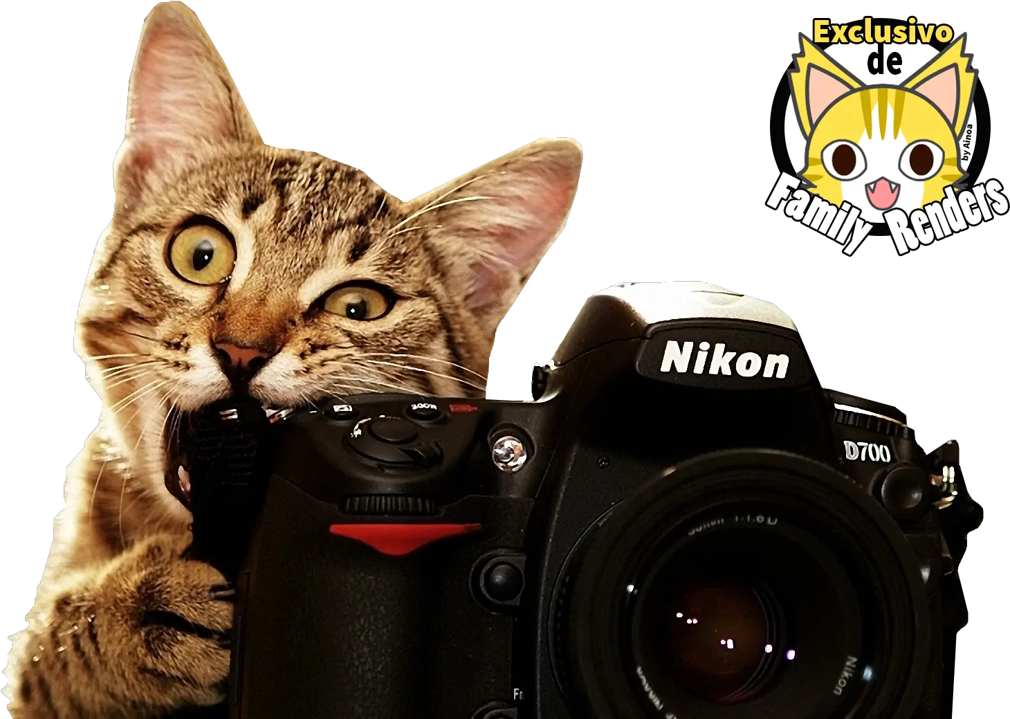 Png Gato Mordiendo Camara Cute Cat With Camera Camara Png