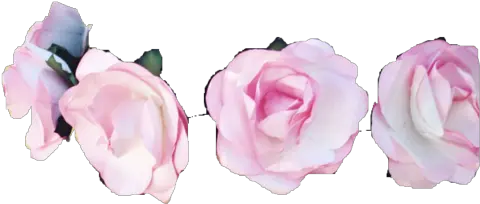 Flower Crown Transparent Flowers Rainbow Flower Crown Png Pastel Flower Crown Transparent png