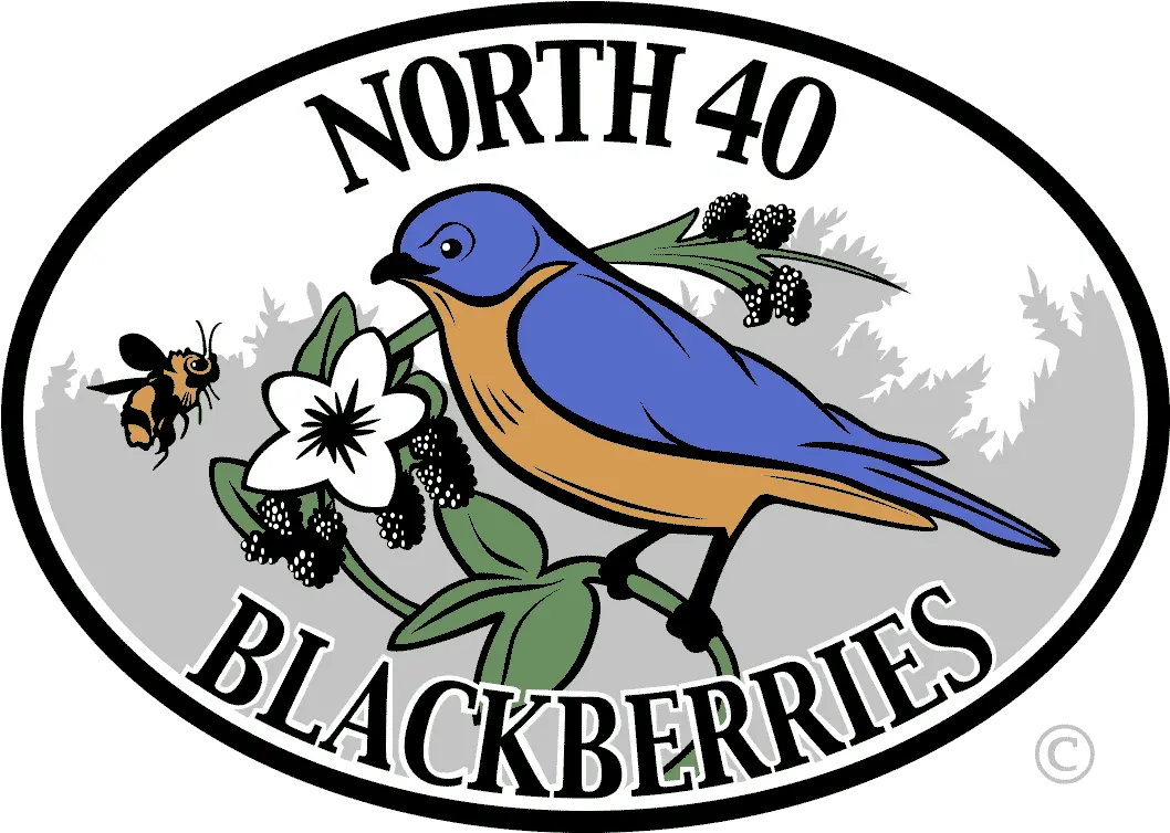 Home N40 Berries Png Weather Icon For Blackberry